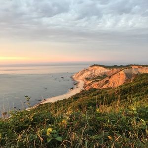 Meet your Posher, Avery